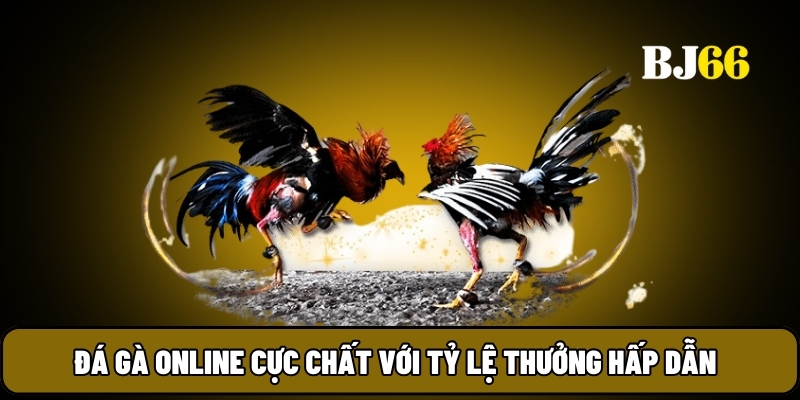Đá gà